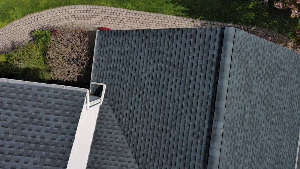 Best Roof Moss and Algae Removal  in Eddington, PA